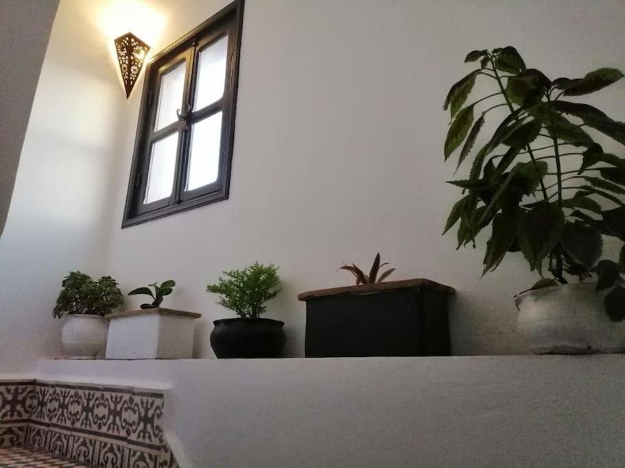 Charmant Riad Pour Familles Ou Groupes - Dar Mama Suvayr Dış mekan fotoğraf